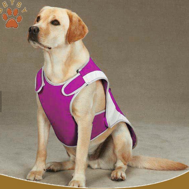 chien cool gilet tank