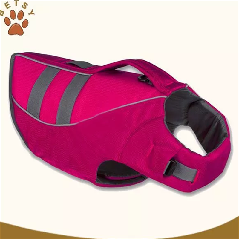 chien de gilets de sauvetage et la salubrité de l'eau