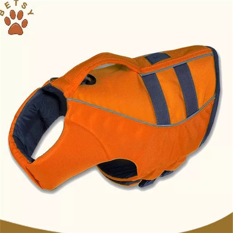 chien de gilets de sauvetage et la salubrité de l'eau