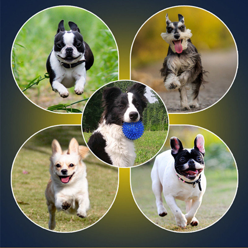 comment réduire la puissance destructrice de chiens