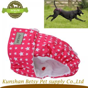 Pantalon de haute saison pour chien