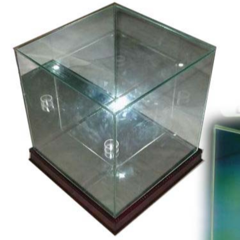 Vitrine de basketball Rctangle