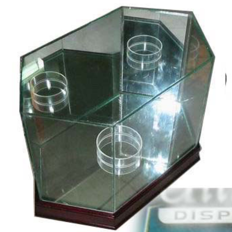 Vitrine de football Octagon