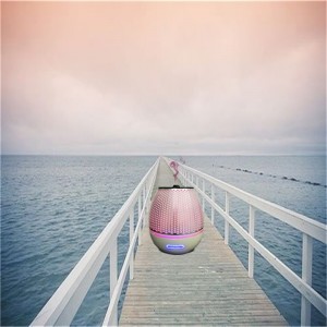 2018 nouveaux arrivants jeune vivant en plastique diffuseur d'arôme d'huile essentielle