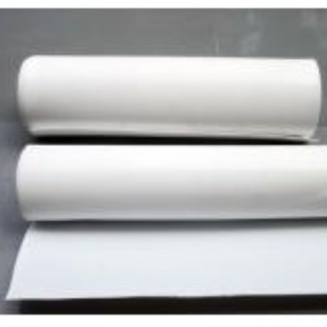 Tiges moulées en PTFE