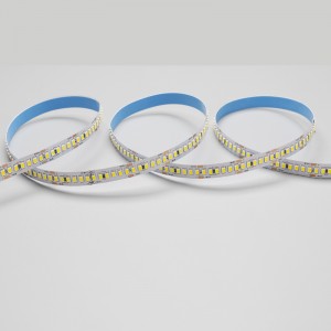 Nouvelle arrivée 3 ans de garantie DC12V DC24V SMD2835 Double couche de cuivre 3OZ Flexible LED Stripe Light 240LED par mètre