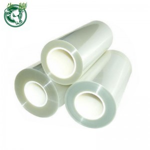 film de libération d'animal familier de couleur blanche