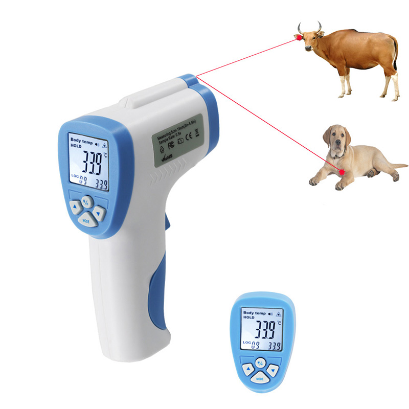 Thermomètre de mesure de la température animale avec une température élevée dans une ferme d'élevage
