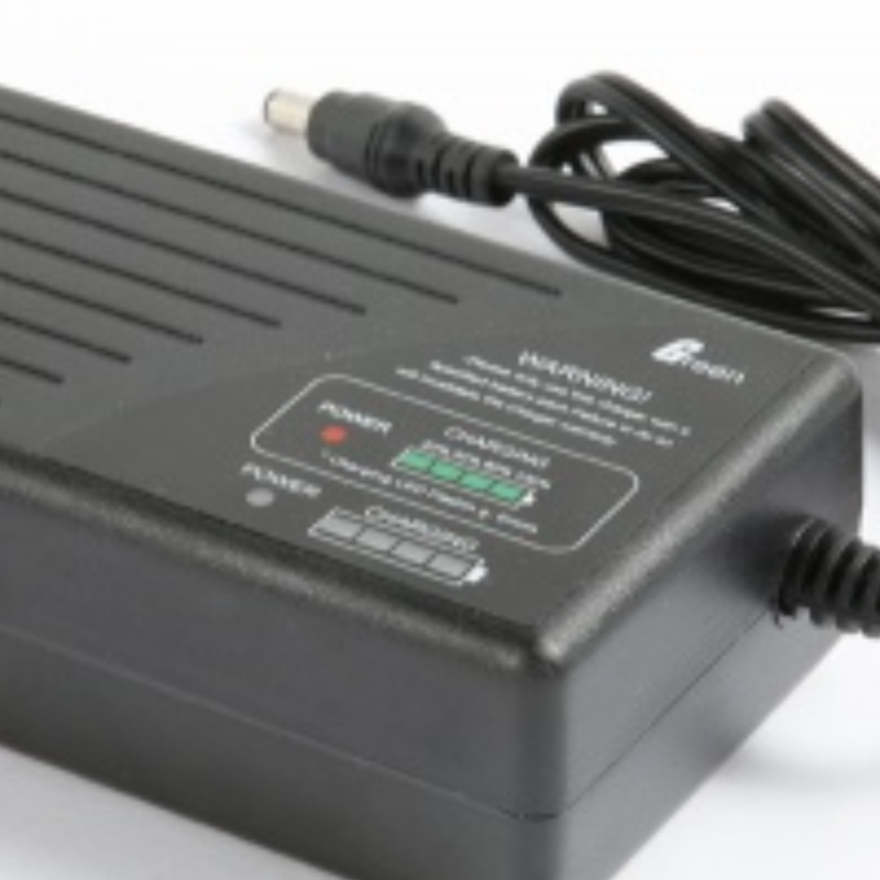 Chargeur LiPo pour chargeur de batterie Li-Ion / Polymère 12V 24V 36V 48V CE UL PSE