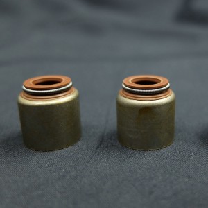 Joint d'étanchéité de la tige de soupape pour les voitures Renault