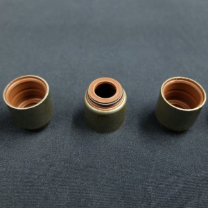 Joint d'étanchéité de la tige de soupape pour les voitures Renault