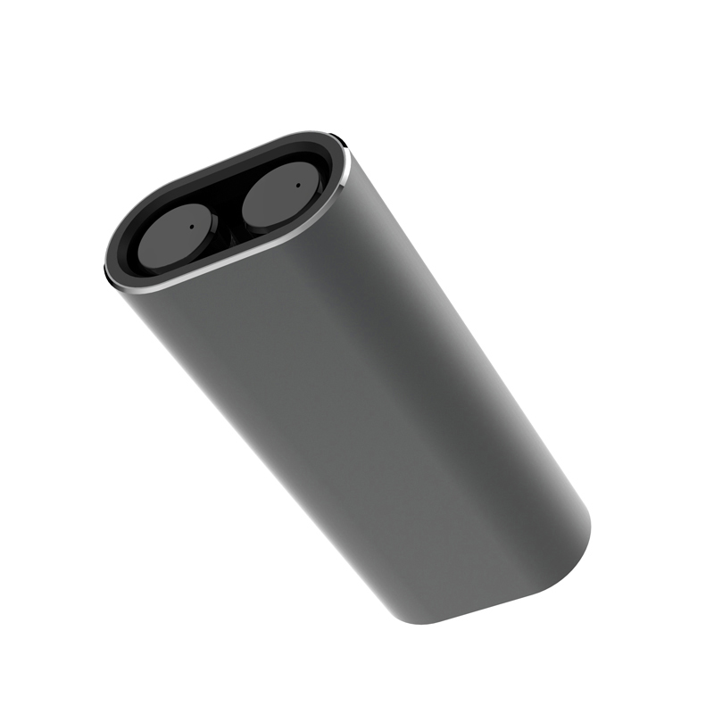 Écouteurs WS-P2 Smart Voice Translator