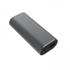 Écouteurs WS-P2 Smart Voice Translator