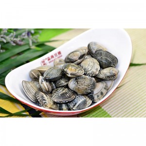 Palourdes congelées