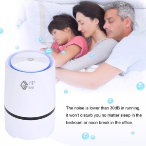 Purificateur d'air Home Depot et diffuseur d'arôme Lonizer