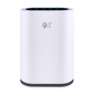 Purificateur d'air HEPA avec filtration pour pièces, allergènes, odeurs, fumée, moisissure, poussière, germes et squames d'animaux