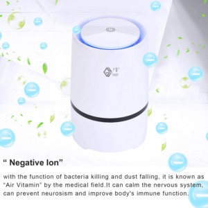 Purificateur d'air Home Depot et diffuseur d'arôme Lonizer