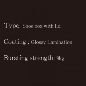 Boîte à chaussures avec couvercle de type2