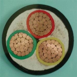 0.6 / 1kv 3 x 6mm2 LV câble de câble d'alimentation isolé Cu solide / conducteur toronné