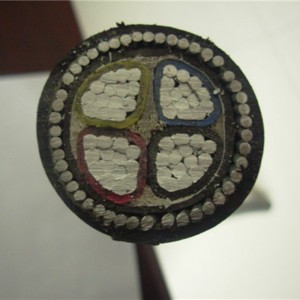 Câble électrique blindé en aluminium Xlpe / câble blindé à 4 conducteurs