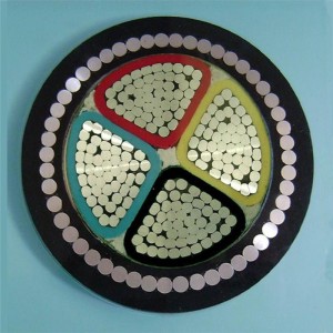 Câble électrique blindé en aluminium Xlpe / câble blindé à 4 conducteurs