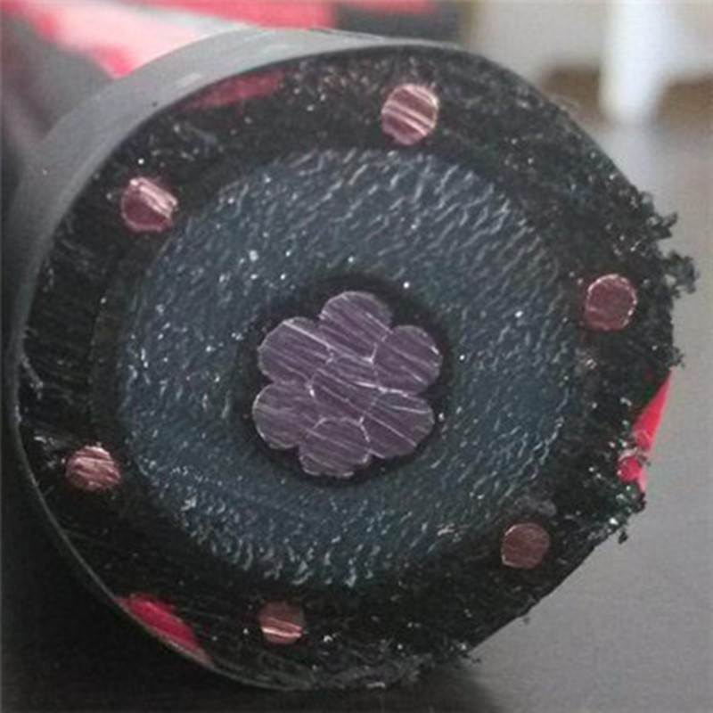 Câble d'alimentation isolé par XLPE de noyau de 22kv Xlpe Al / Cu avec le conducteur concentrique