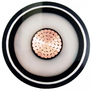 Conducteur segmentaire compact 1000mm2 de câble d'alimentation de 110kv Xlpe HV