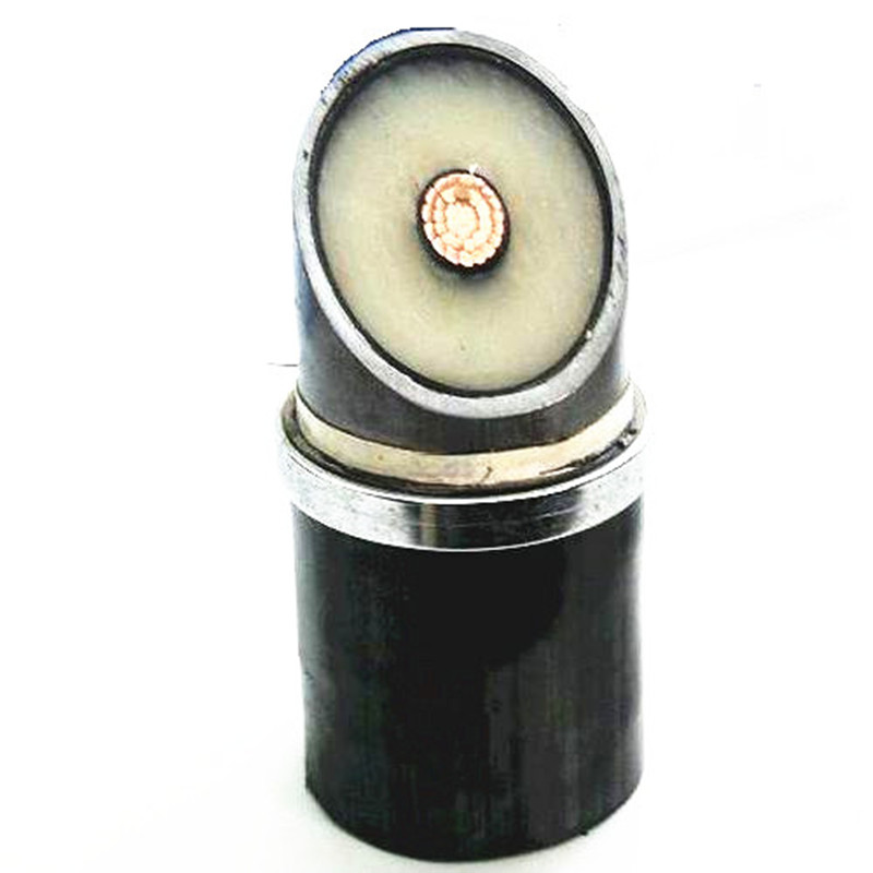 Conducteur segmentaire compact 1000mm2 de câble d'alimentation de 110kv Xlpe HV
