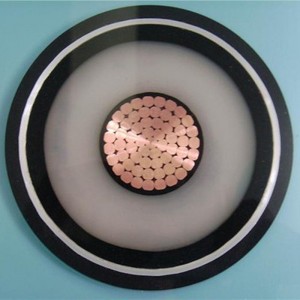 Conducteur segmentaire compact 1000mm2 de câble d'alimentation de 110kv Xlpe HV