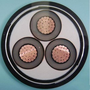 Câble blindé Swa 1-30KV 6 mm, IEC60502, SANS 1339, BS 6622, AS / NZS1429.1, NFC 33226, CSA C 68.5