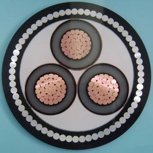 Câble blindé Swa 1-30KV 6 mm, IEC60502, SANS 1339, BS 6622, AS / NZS1429.1, NFC 33226, CSA C 68.5