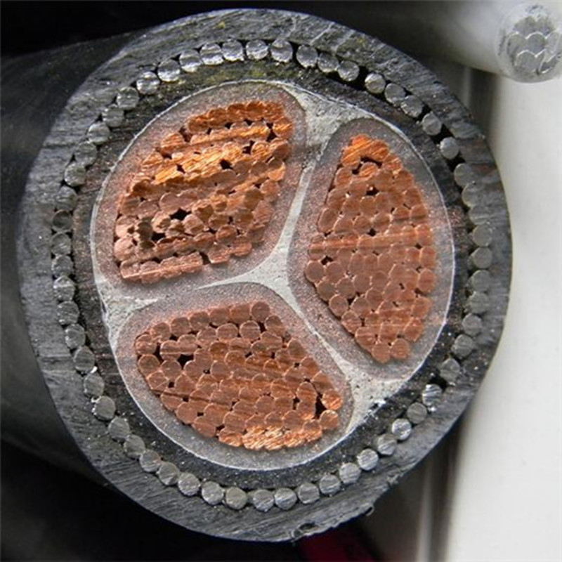 Fil de cuivre blindé de câble de fil d'acier de noyau de 16mm² 3 échoué pour la pose d'intérieur