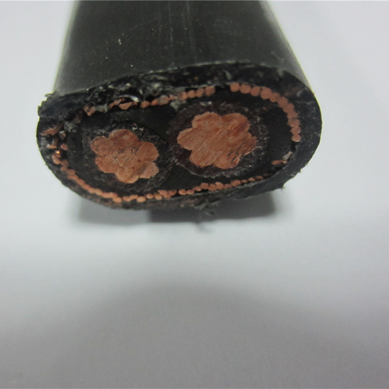 Câble d'alimentation concentrique divisé 2x8 2x10 2x10 3x6 3x8 AWG de 16mm pour l'entrée de service