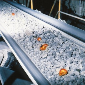 Convoyeur résistant à la chaleur