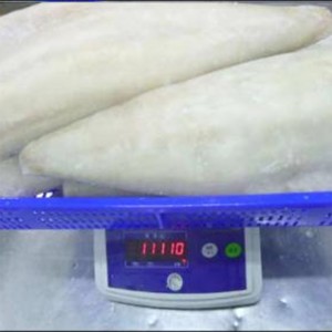 Filets de Saaithe Atlantique congelés et salés