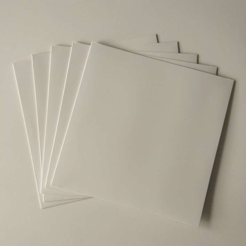 Couverture de disque 12 LP carton blanc / disque sans trou