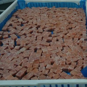 Cube de saumon rose congelé
