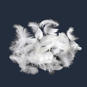 Matériau de plumes de canard naturel et d'oie
