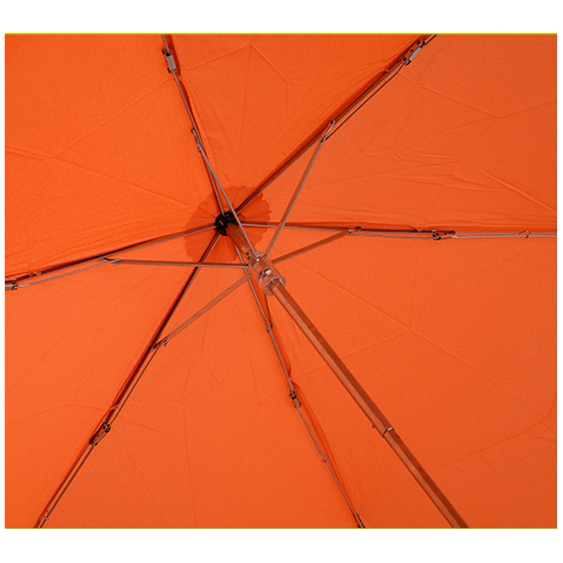 Parapluie pluie spécial spécial légume 2019 Carrot 3