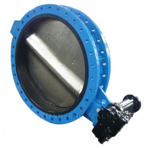 Vanne papillon à bride