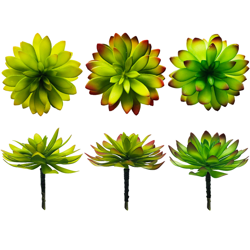 Des plantes succulentes artificielles ramassent des décorations en faux vert Cactus