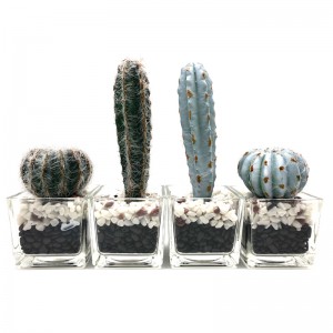 Cactus artificiel dans la décoration succulente de Faux de pot en verre décoratif pour la maison ou le bureau