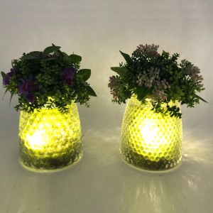 Plantes succulentes artificielles décoratives de table en verre de LED avec le vase d'affichage de globe