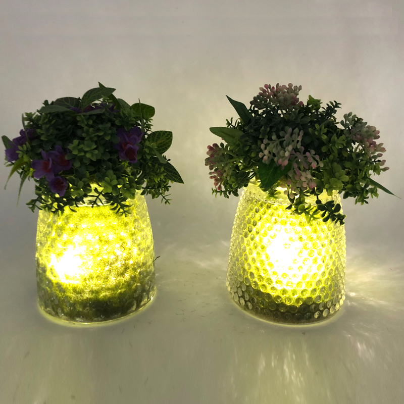 Plantes succulentes artificielles décoratives de table en verre de LED avec le vase d'affichage de globe