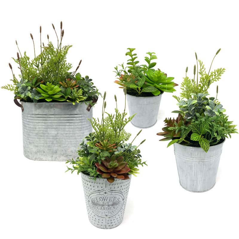 Plantes succulentes artificielles modernes avec le vase décoratif de globe d'affichage de table de pot