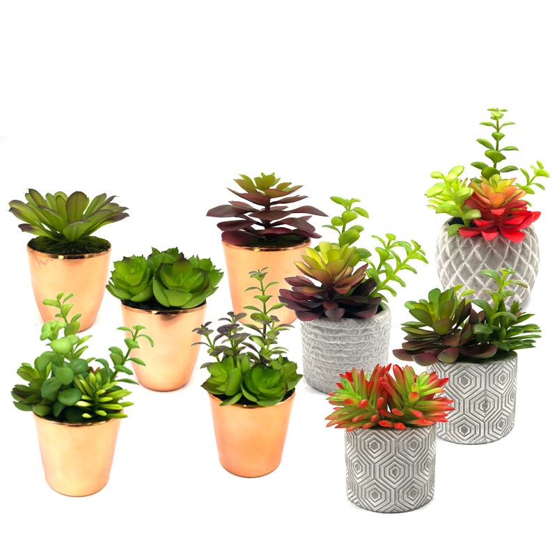 Mini plantes succulentes artificielles avec affichage décoratif de globe de table de pot décor à la maison