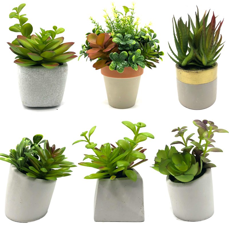 Mini plantes succulentes artificielles avec affichage décoratif de globe de table de pot décor à la maison