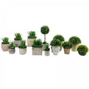 Plante artificielle succulente artificielle réaliste Jardin Tropical Home Decor