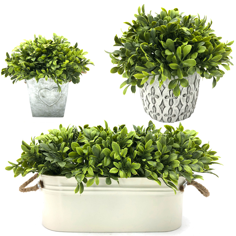 Artificielle réaliste succulente arbre vert plante tropical décor à la maison jardin