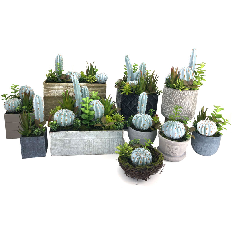 Cactus artificiel fixé pour la maison ou le bureau dans la décoration succulente de pot décoratif